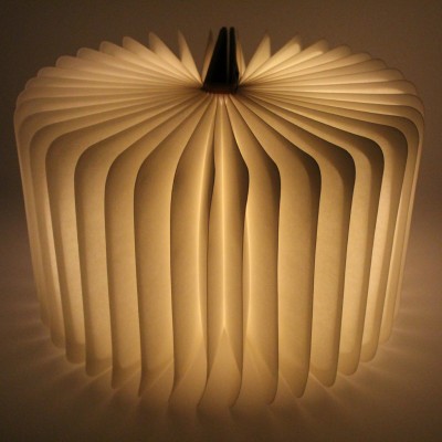 Книжная Лампа Book Light оптом